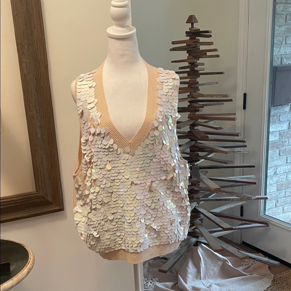 ✨ J.Crew Sequin Sleeveless Sweater Vest